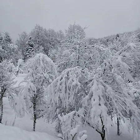 Mala Kuca * Vele Drage