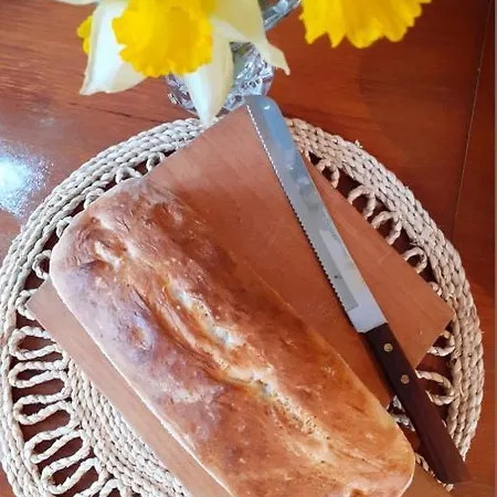Mala Kuca بيت للعطل Vele Drage