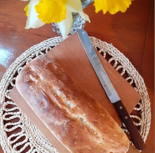 Mala Kuca Hébergement de vacances Vele Drage